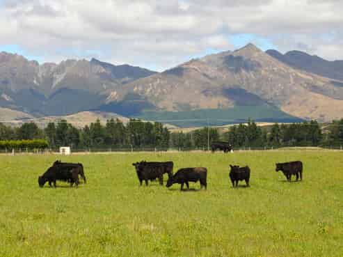 1701 Te Anau Mossburn Highway, Hillside