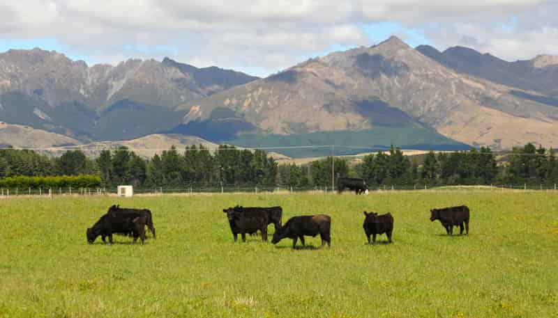 1701 Te Anau Mossburn Highway, Hillside