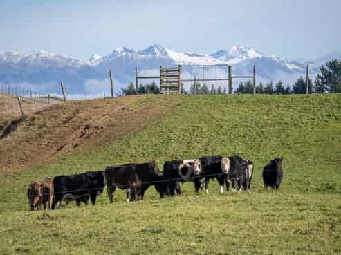 1701 Te Anau Mossburn Highway, Hillside