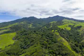 1597 Whaanga Road, Raglan