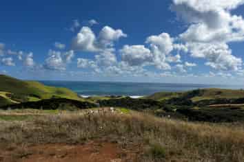 1597 Whaanga Road, Raglan