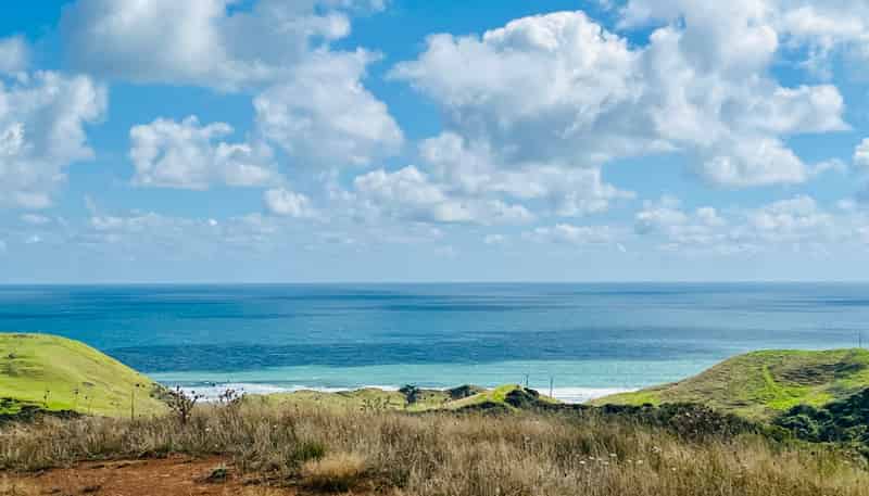 1597 Whaanga Road, Raglan