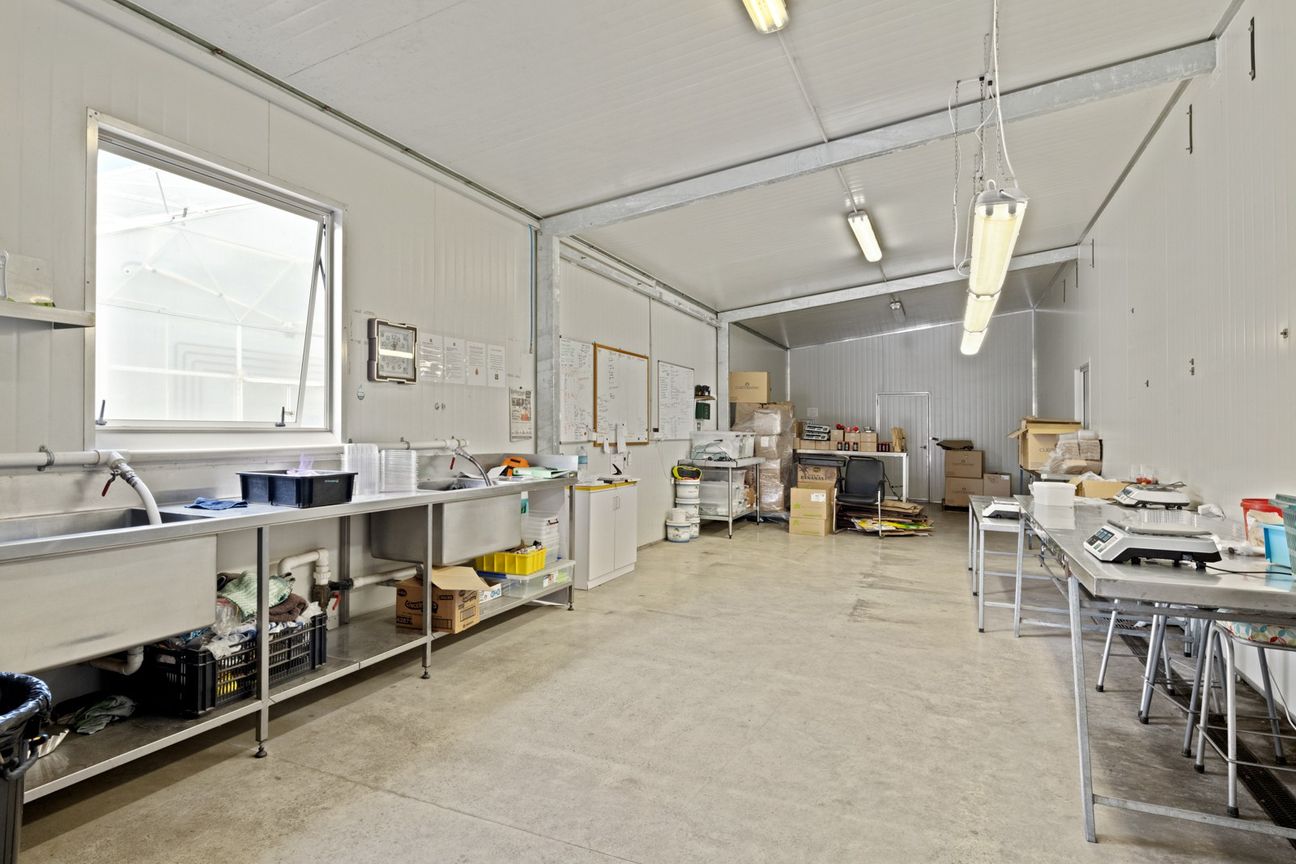 Established hydroponic business on 2.9ha - Więcej