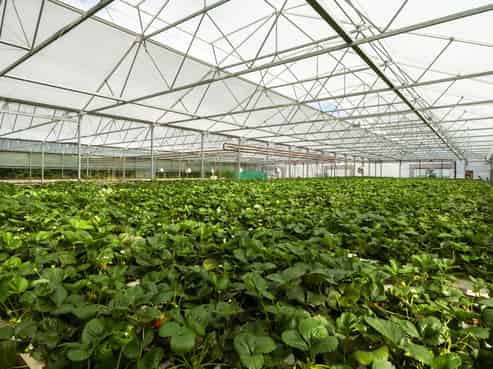 1204 Rapaura Road, Spring Creek