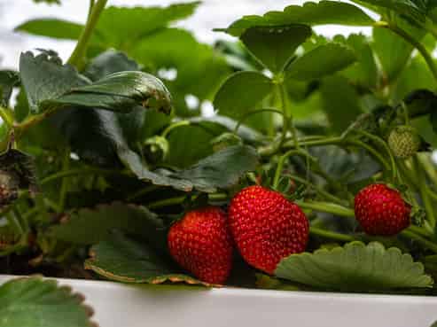 1204 Rapaura Road, Spring Creek