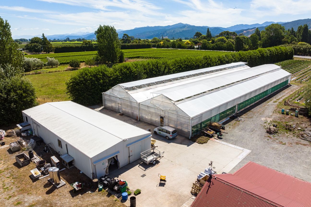 Established hydroponic business on 2.9ha - Widok 5