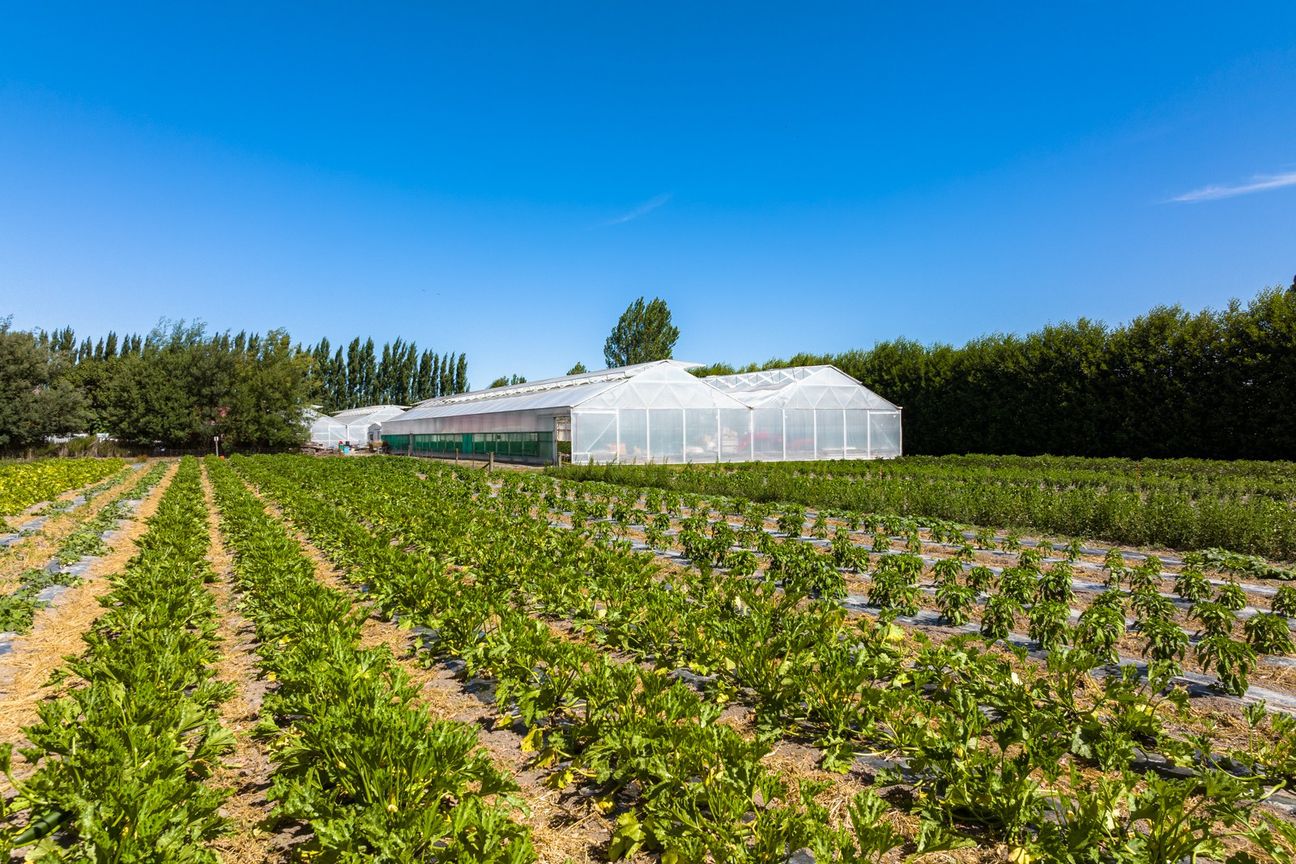 Established hydroponic business on 2.9ha - Widok 2