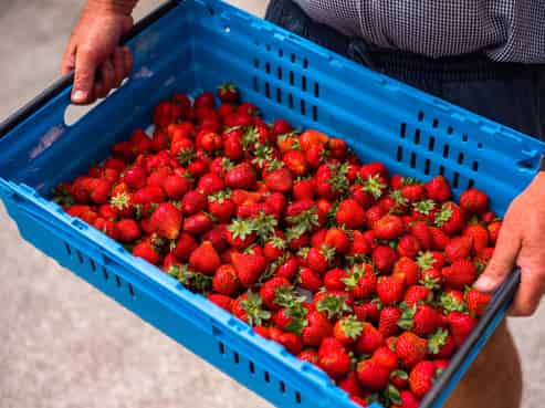 1204 Rapaura Road, Spring Creek