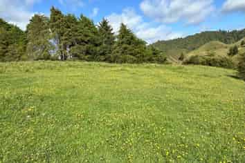 Lot 2 Piko Road, Okoki