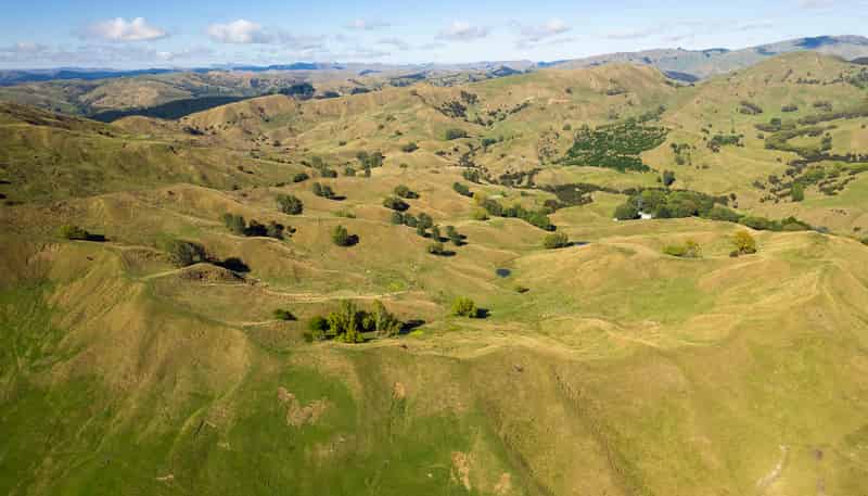 286 & 306 Mahaki Settlement Road, Otoko