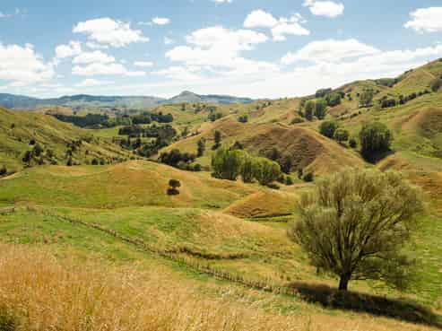 286 & 306 Mahaki Settlement Road, Otoko