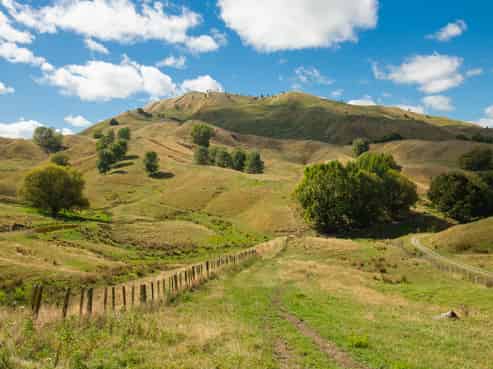 286 & 306 Mahaki Settlement Road, Otoko