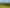 Bay of Plenty - Address withheld
