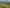Bay of Plenty - Address withheld