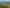 Bay of Plenty - Address withheld