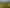 Hawkes Bay - Address withheld