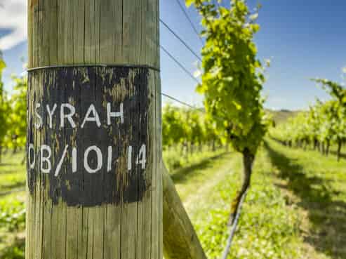 Hawkes Bay - Address withheld