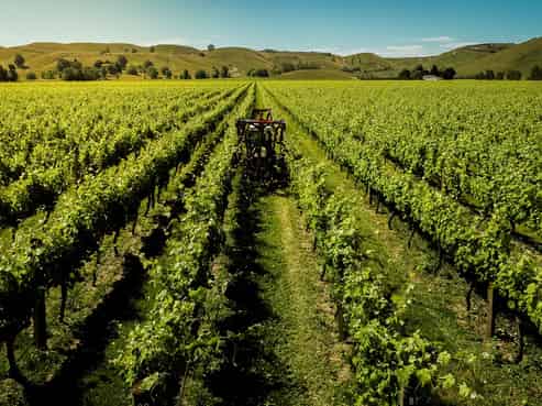 Hawkes Bay - Address withheld
