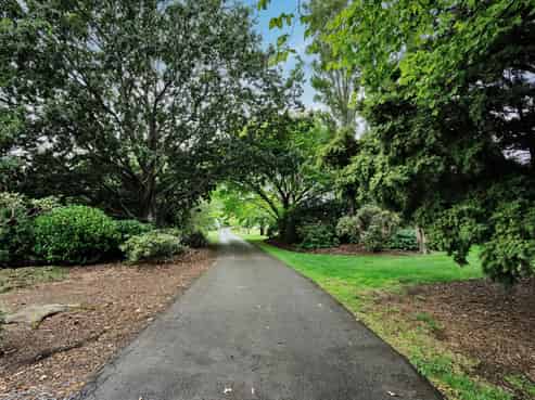 319 Bainfield Road, Myross Bush