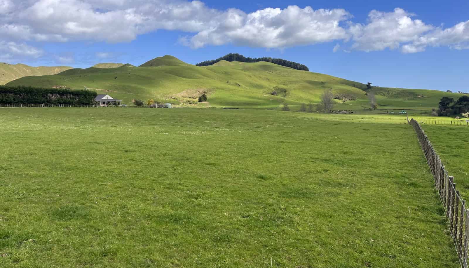 675 Waitohu Valley Road, Otaki, Kapiti Coast For Sale realestate.co.nz