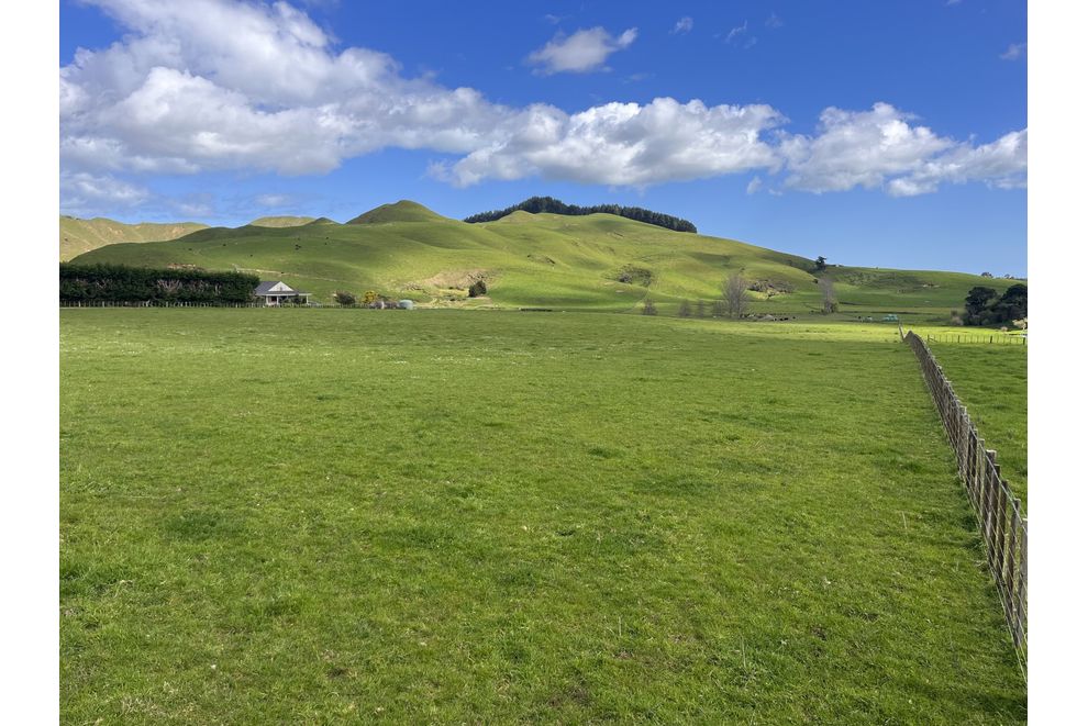 675 Waitohu Valley Road, Otaki, Kapiti Coast For Sale realestate.co.nz