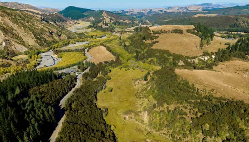11 and 73p Mt Lyford Forest Drive, Kaikoura