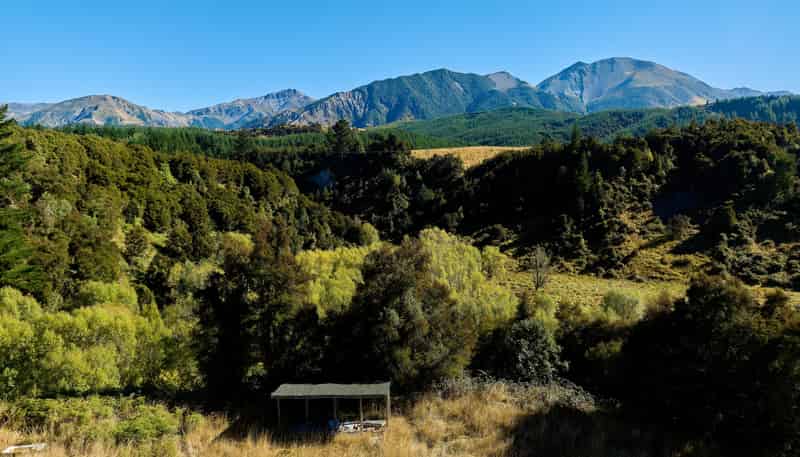 11 and 73p Mt Lyford Forest Drive, Kaikoura