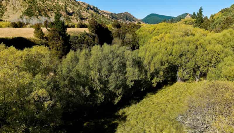 11 and 73p Mt Lyford Forest Drive, Kaikoura