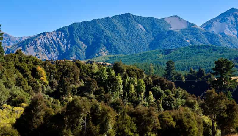 11 and 73p Mt Lyford Forest Drive, Kaikoura