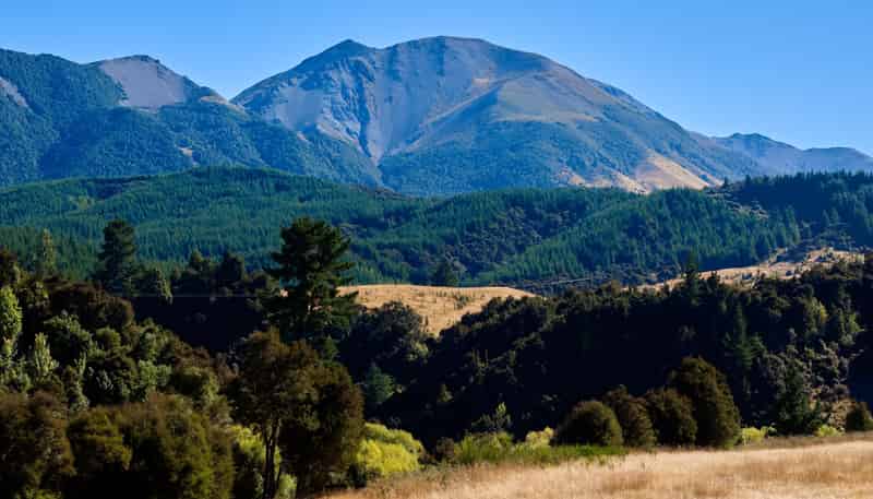 11 and 73p Mt Lyford Forest Drive, Kaikoura
