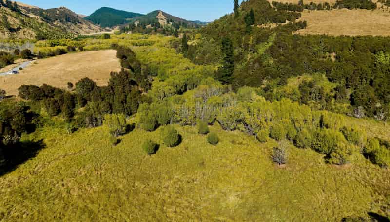 11 and 73p Mt Lyford Forest Drive, Kaikoura
