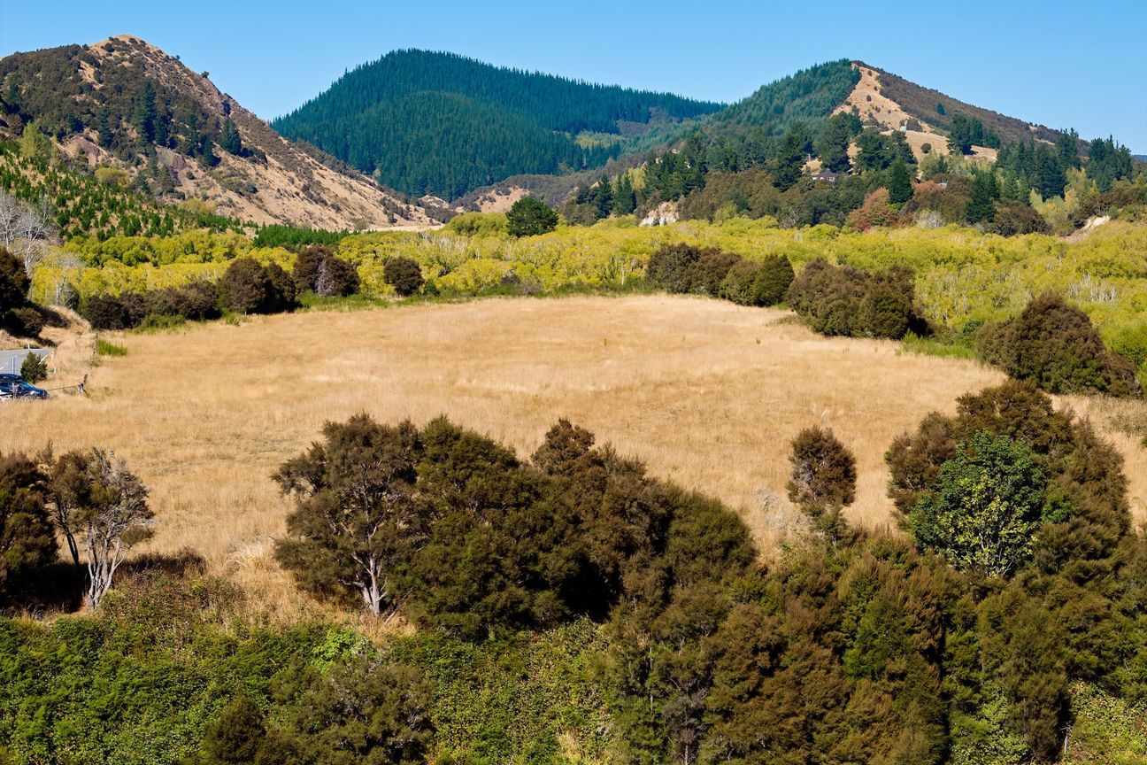 Outstanding 30.4ha Land Opportunity – Mt Lyford - Vaizdas 5