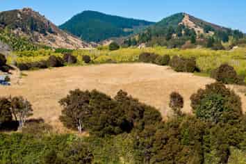 11 and 73P Mt Lyford Forest Drive, Kaikoura