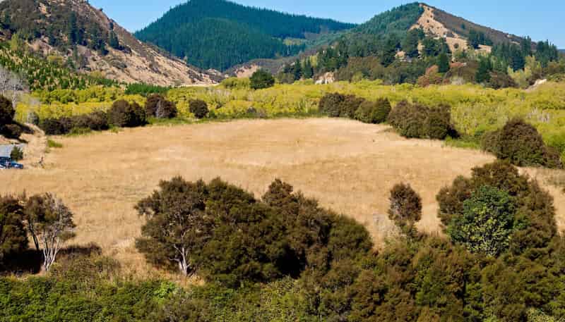 11 and 73p Mt Lyford Forest Drive, Kaikoura