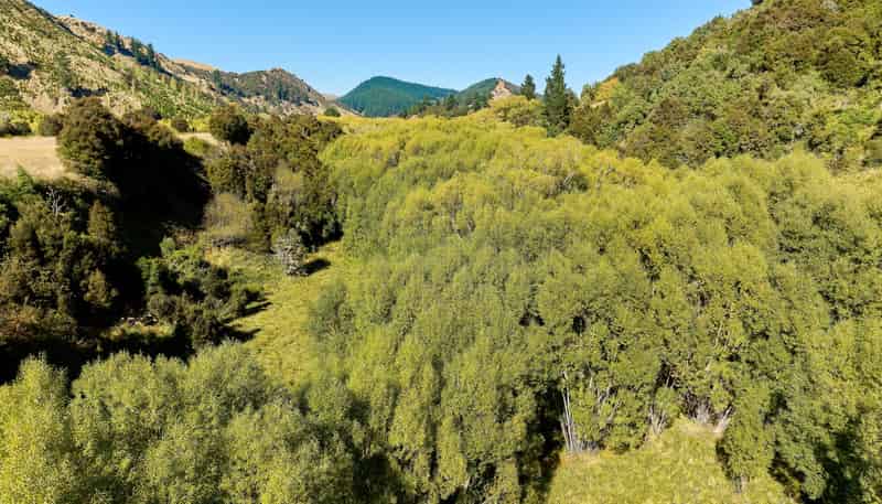 11 and 73p Mt Lyford Forest Drive, Kaikoura