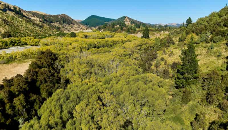 11 and 73p Mt Lyford Forest Drive, Kaikoura