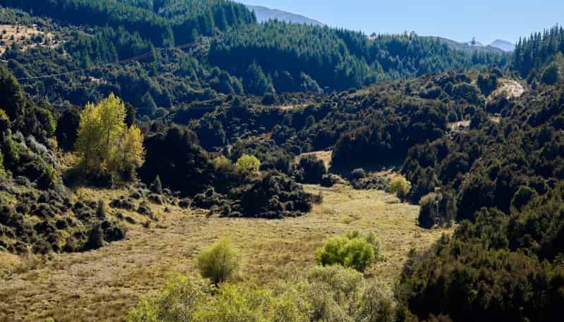 11 and 73p Mt Lyford Forest Drive, Kaikoura