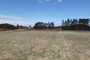 Lot 2 702 Himatangi Block Road, Foxton