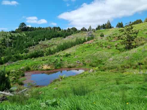 416 Houto Road, Kokopu