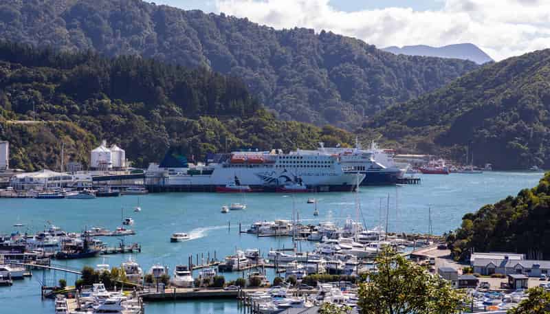 25a Seaview Crescent, Picton