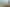 11/74 Oriental Parade, Oriental Bay