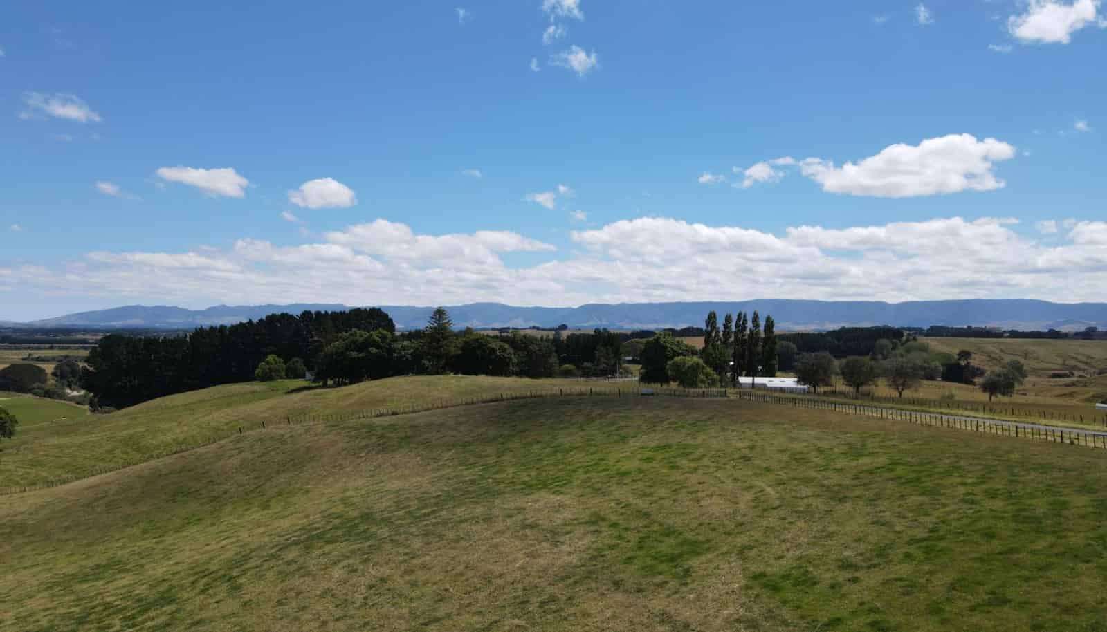 698 Cowper Road, Dannevirke, Tararua For Sale realestate.co.nz