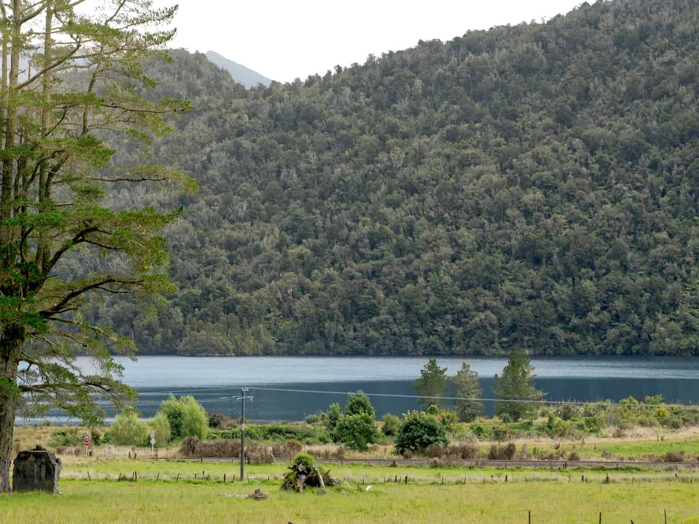 Moana / Lake Brunner Homes and Real Estate for Sale realestate.co.nz