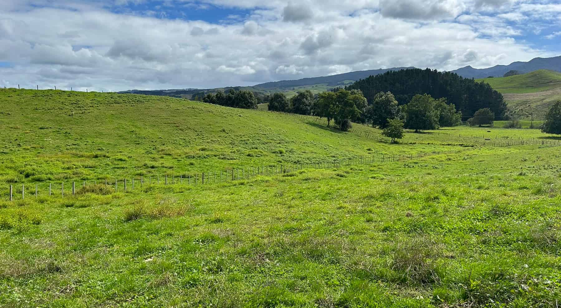 70 Kiwi Road, Pirongia, Waipa For Sale realestate.co.nz