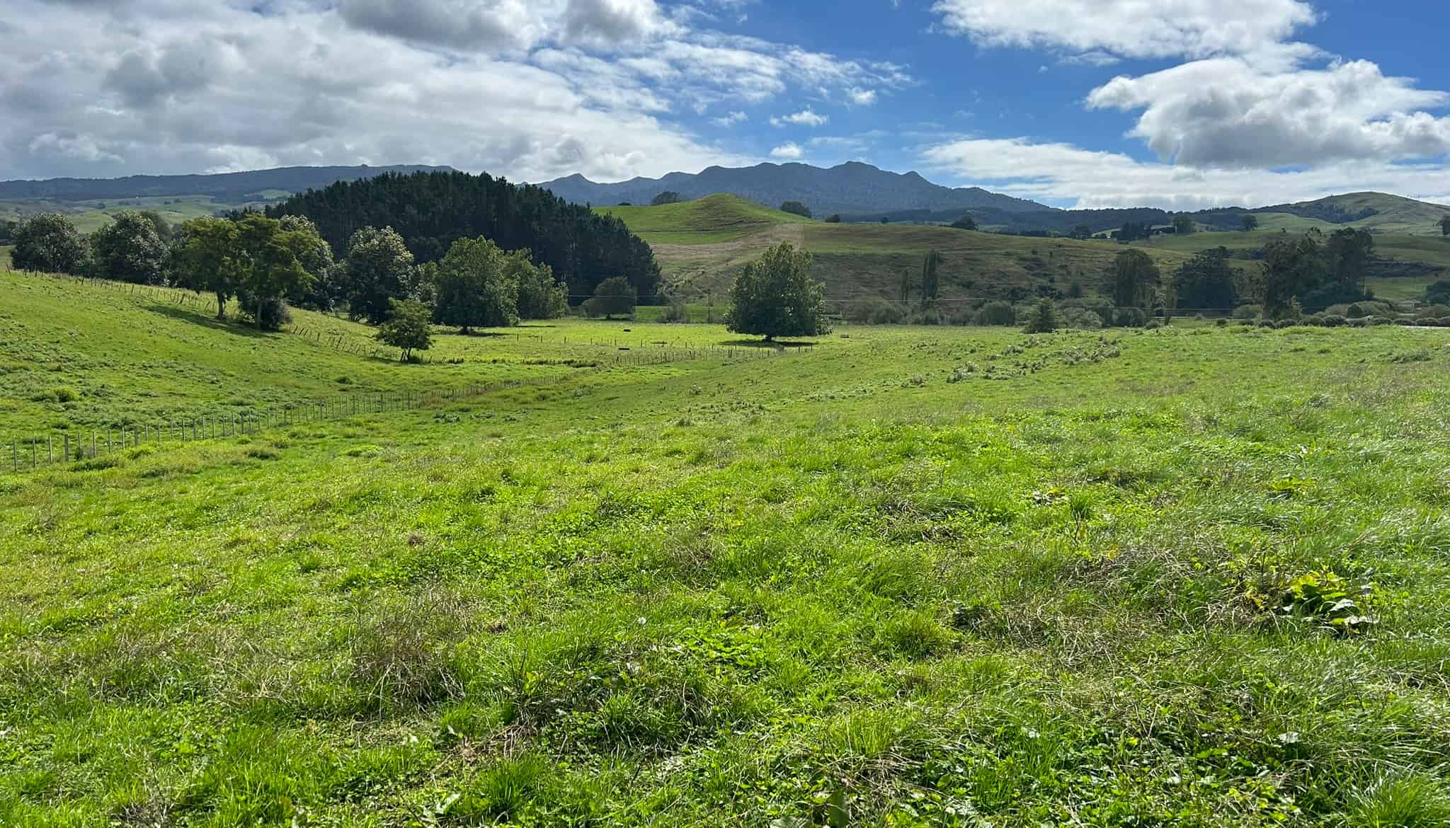 70 Kiwi Road, Pirongia, Waipa For Sale realestate.co.nz