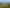 2038 East Coast Road, Stillwater