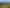 2038 East Coast Road, Stillwater