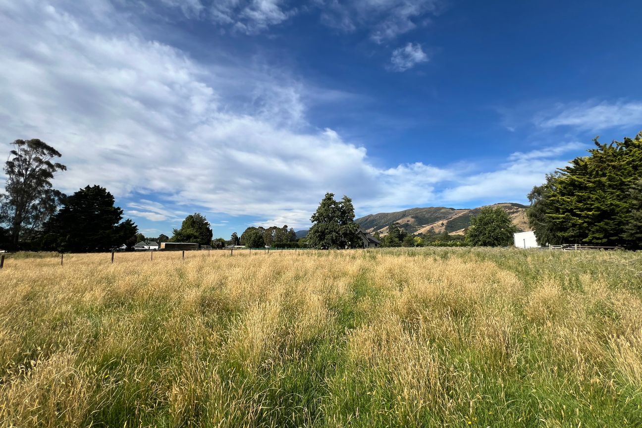 Land Bank or Build in Tapanui - Ansicht 5
