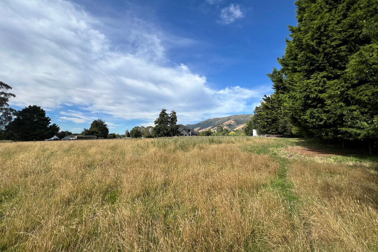 Land Bank or Build in Tapanui - Mehr