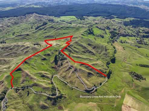 826 Ruakiwi Road, Raglan